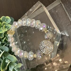 Erimish AB Crystal Extended Size Glitter Disc